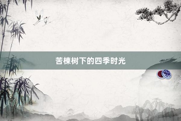 苦楝树下的四季时光