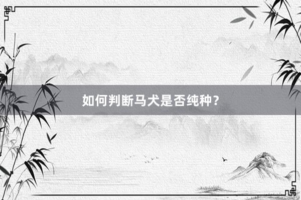 如何判断马犬是否纯种?