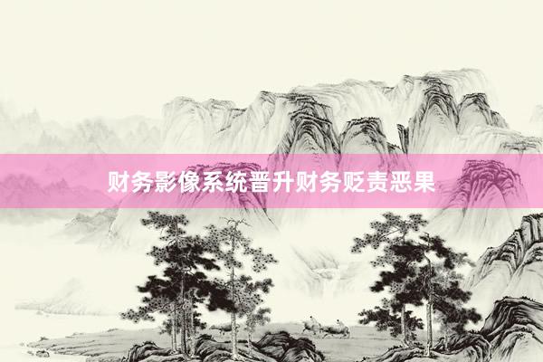 财务影像系统晋升财务贬责恶果